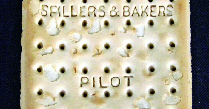 biscuit titanic foto gulliver splash news