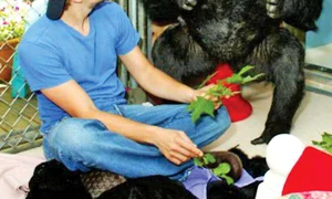 leo dicaprio si koko11112 0 jpeg