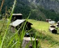 17 delia trasee montane in franta si elvetia drumetii 12 jpg jpeg