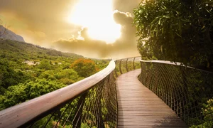 1 africa de sud shutterstock 605292098 jpg jpeg