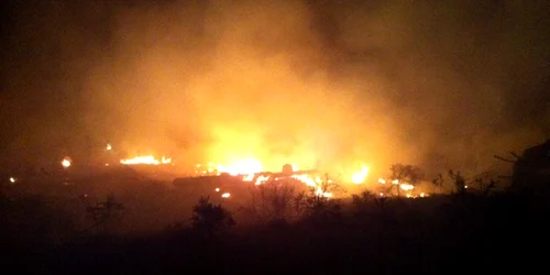 Incendiu de padure in judetul Suceava. FOTO