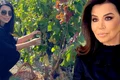 banner simona patruleasa png