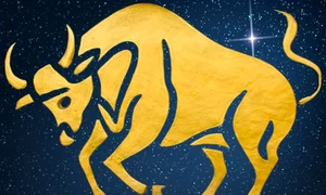 02 zodia taurului jpeg