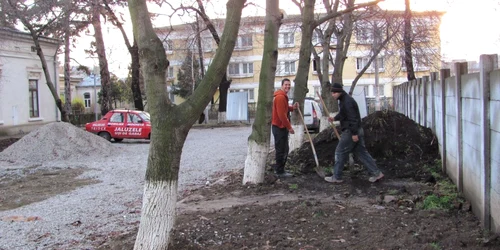 Botoşani: Muncitorii vor pune gazon şi iederă în curtea IŞJ 