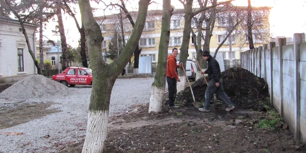 Botoşani: Muncitorii vor pune gazon şi iederă în curtea IŞJ 