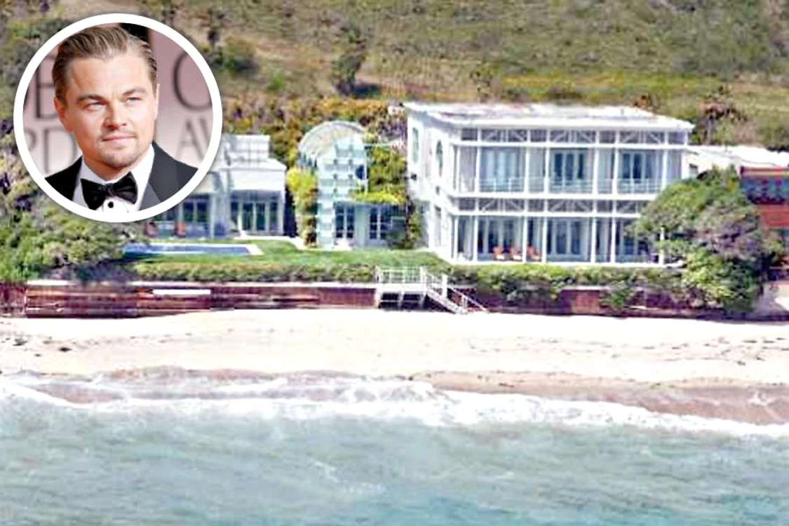 
    Leonardo DiCaprio  