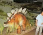 dinozuri galleria