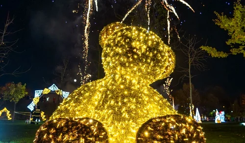 Seara s-a încheiat  cu un foc de artificii