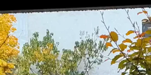 WhatsApp Video 2024 11 12 at 09 42 54 mp4 thumbnail png