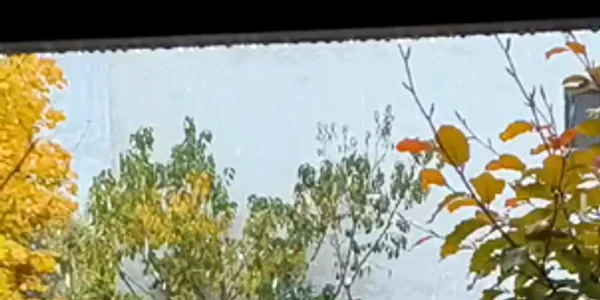 WhatsApp Video 2024 11 12 at 09 42 54 mp4 thumbnail png