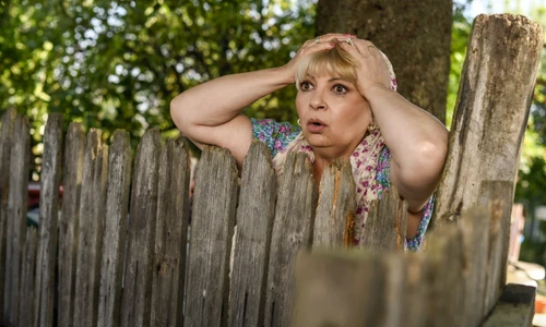 1 foto mihai stetcu adela 5895 jpg jpeg