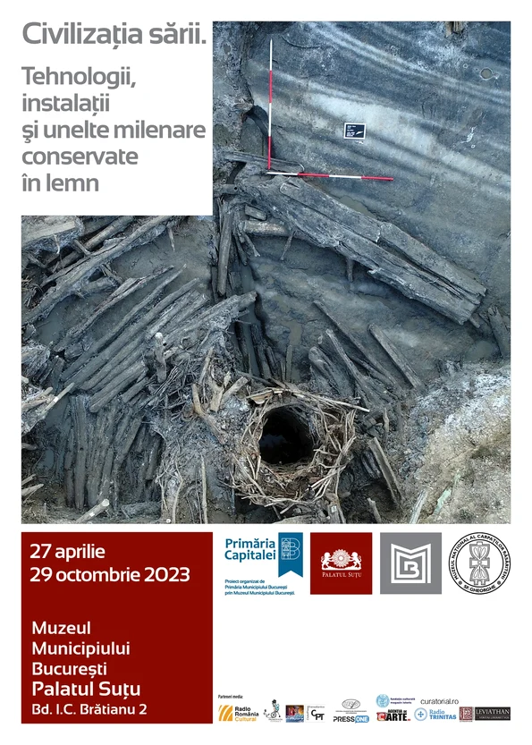 Cele mai vechi instalații folosite la exploatarea sării din sud-estul Europei, expuse la Palatul Suțu