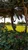 15621993 1027838430678541 5686151207903879029 n jpeg