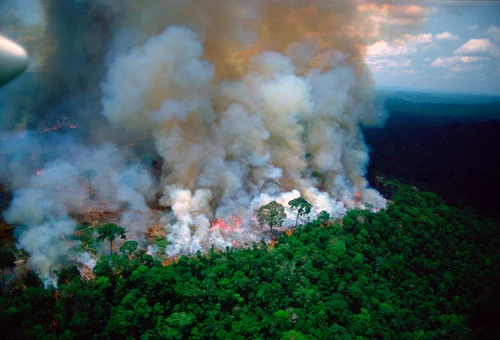 6 incendiile din brazilia arde amazonia jpg jpeg