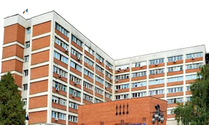 305031261 174610401802473 6934617315554594861 n jpg