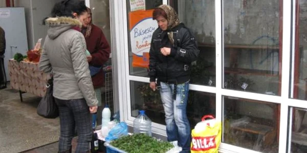 Paula Despina spuen că urzicile îşi găsesc cu greu clienţi