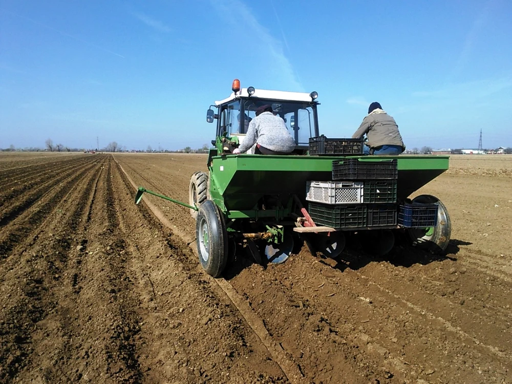 seceta agricultura 2019