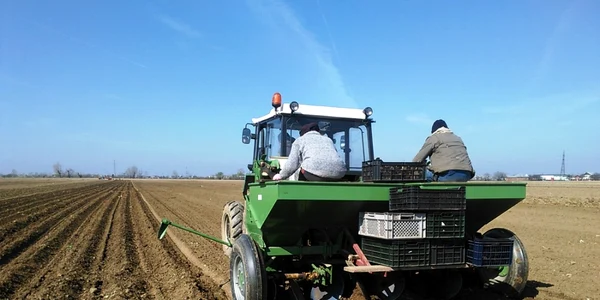 seceta agricultura 2019