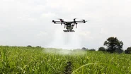 folosirea dronelor in agricultura devine o necesitate   foto pixabay herney jpg
