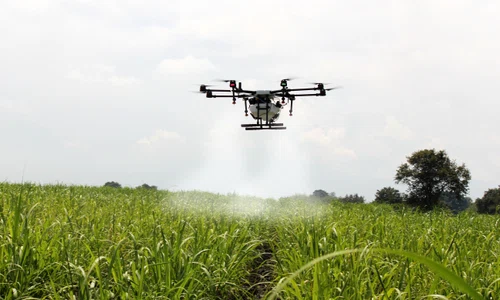 folosirea dronelor in agricultura devine o necesitate   foto pixabay herney jpg