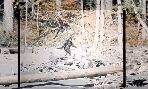 bigfoot 00 00 03 433 png