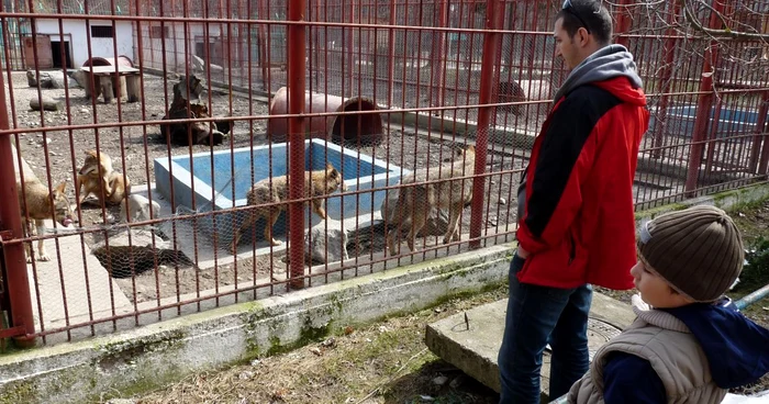 Copiii au revenit la zoo 