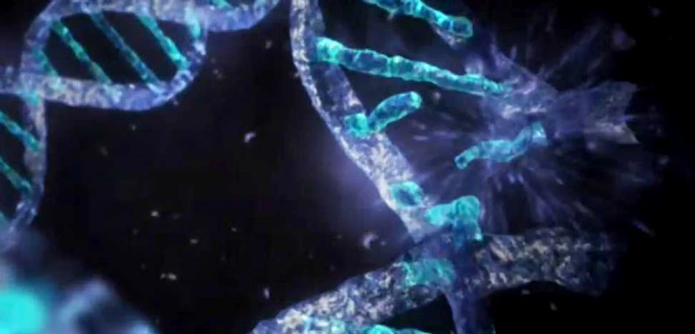 Cercetătorii au reuşit să lungească viaţa şoarecilor modificându-le codul genetic FOTO NASA