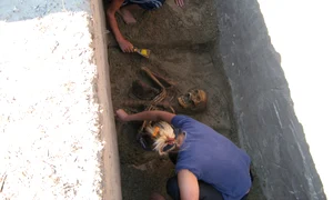 arheologi la crivina schelet jpeg