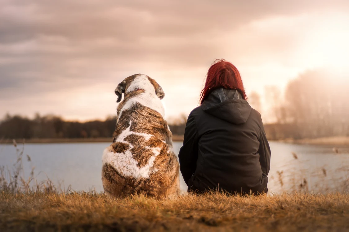 Sursă foto: Pixabay
