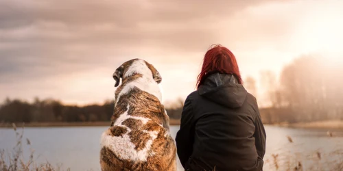 astrologie horoscop 19 octombrie sursa foto pixabay