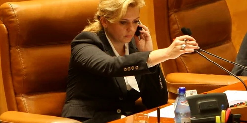 Preşedintele Camerei Deputaţilor, Roberta Anastase