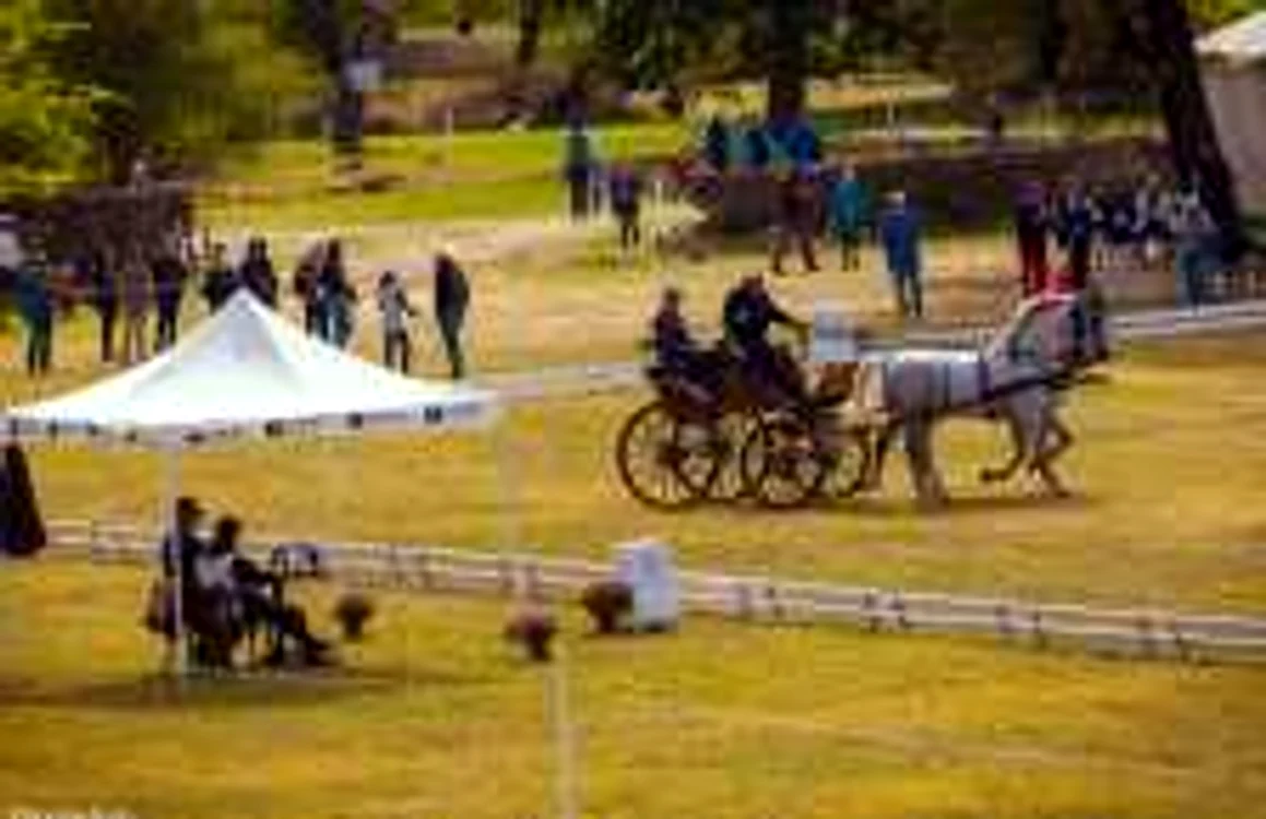 Karpatia Horse Show 
