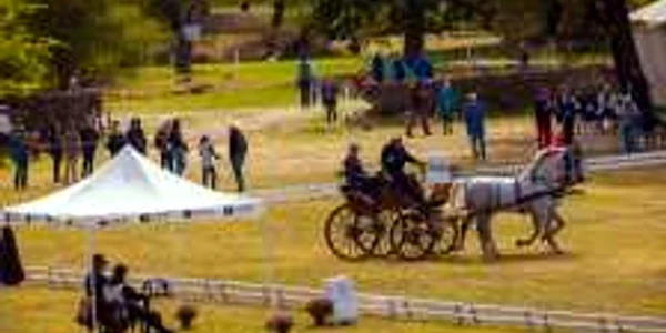 Karpatia Horse Show 