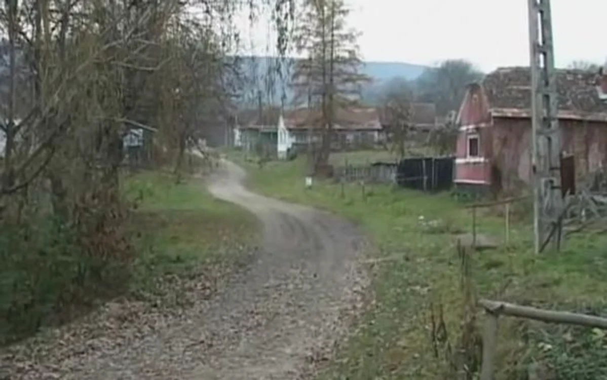 
    În satul Nețeni trăiesc doar 13 persoaneFoto: captură video  