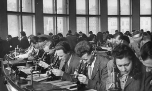 Facultăţile de medicină şi noul sistem jpeg