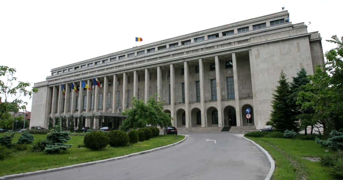 Păvăleanu a fost angajat în structura Guvernului până în luna mai 2013. FOTO Adevărul