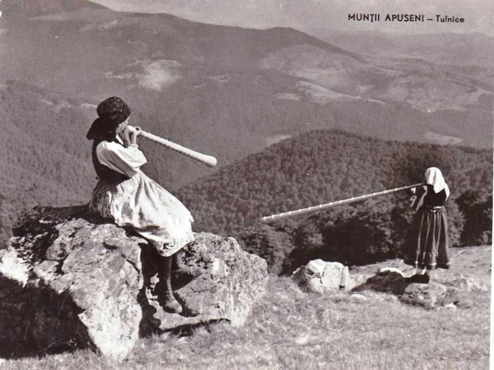 sarbatoare gaina 1963
