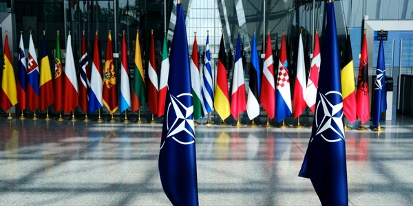 Summit NATO steaguri FOTO Shutterstock