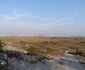 DSC06712 0 JPG