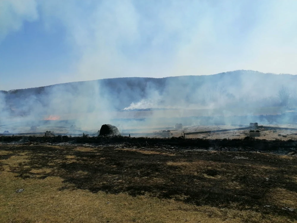 incendiu oi alba
