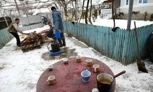 taierea porcului ignat craciun 3 0 jpeg