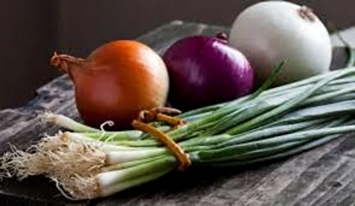 
    Cercetătorii elvețieni au constatat puterea terapeutică a consuului de ceapă asupra oaselorSursa foto: Doxologia.ro  