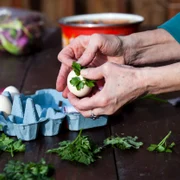 shutterstock 1060023542 jpg