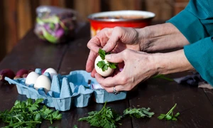 shutterstock 1060023542 jpg