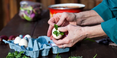 shutterstock 1060023542 jpg