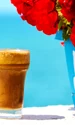 cafea, foto shutterstock jpg