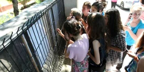 S-au afişat rezultatele la Evaularea Naţională