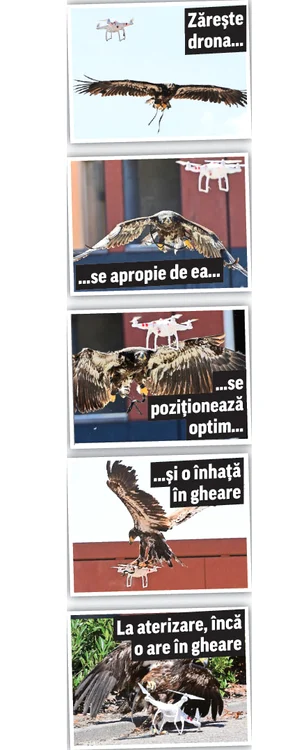 Fotografii: AFP