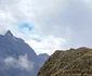 Alpi