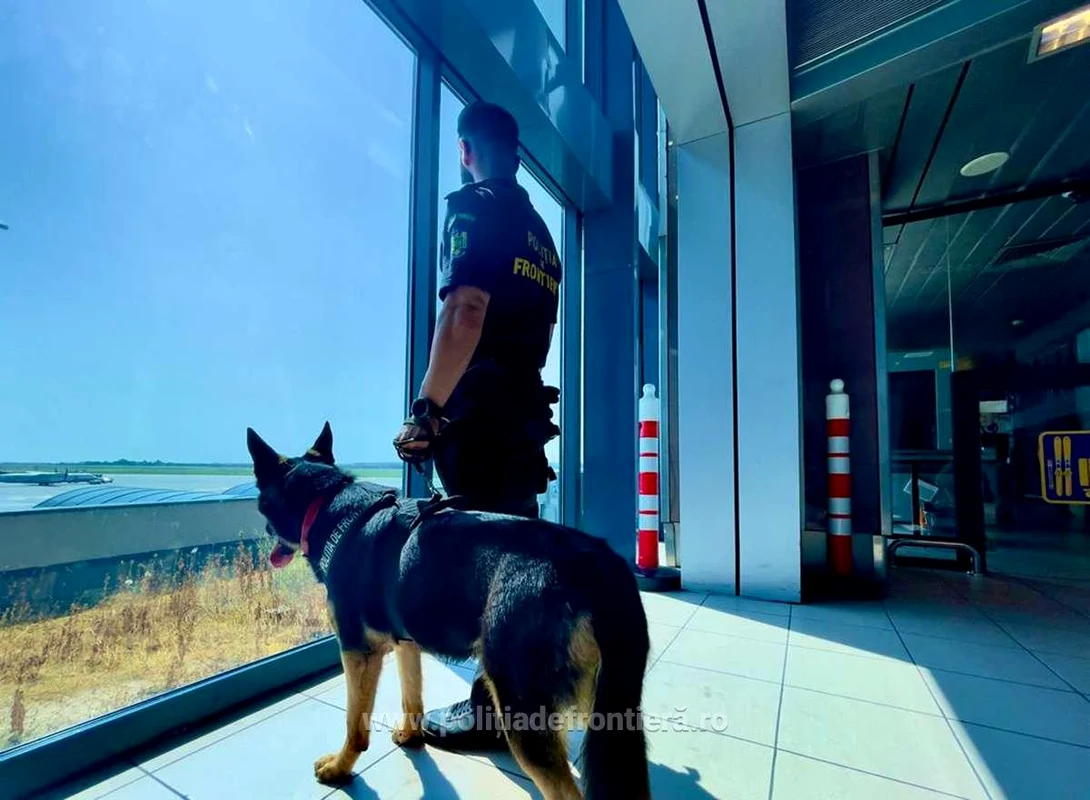 Captură țigări pe Aeroportul Henri  Coadă   Foto Poliția de Frontieră(5) jpg
